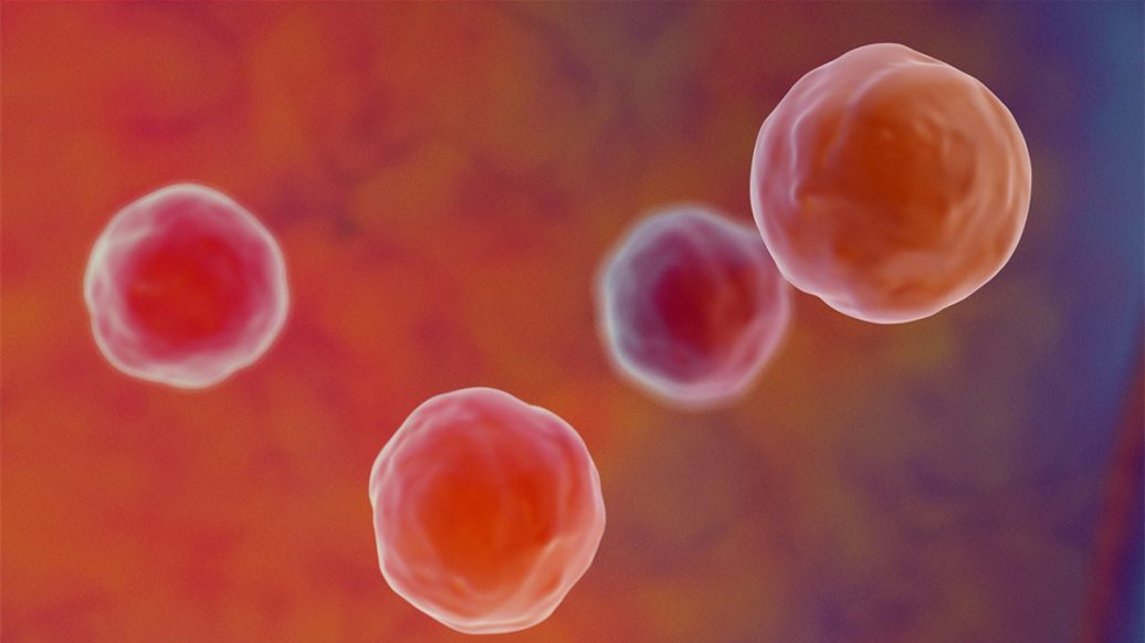 乙肝阳性是什么意思 乙肝阳性会传染吗