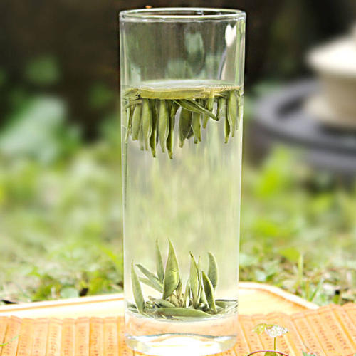 白毫银针茶的功效 白毫银针茶作用