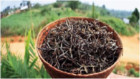 普洱茶几泡是精华 普洱茶精华在第几泡