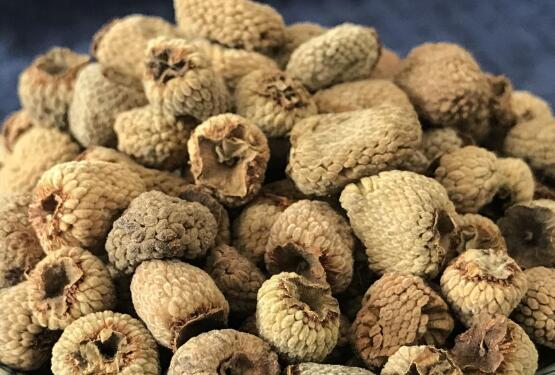 覆盆子叶茶功效与作用 覆盆子叶茶食用方法