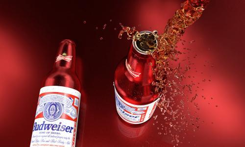 百威啤酒批发价多少钱一箱 百威啤酒批发价一览