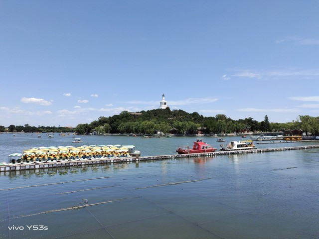 vivoy53s手机怎么样好不好 vivoy53s处理器评测