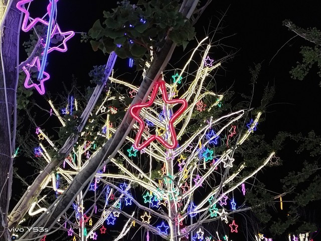 vivoy53s手机怎么样好不好 vivoy53s处理器评测