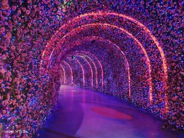 vivoy53s手机怎么样好不好 vivoy53s处理器评测