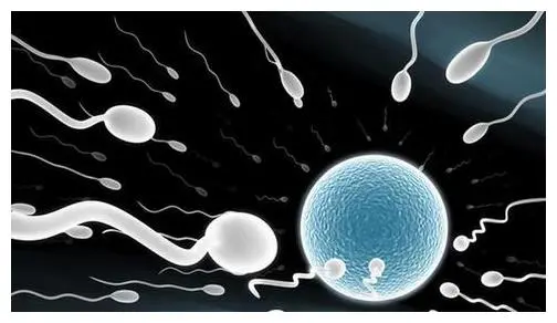 生活中什么具有杀精作用 生活中有5种杀精的传言可信吗