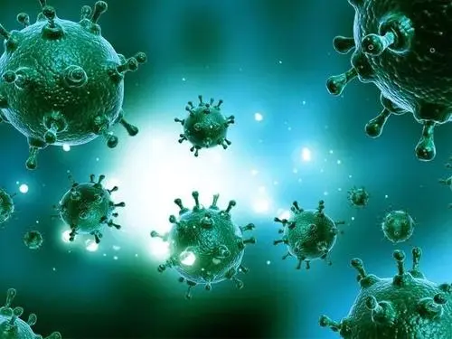 得了梅毒会怎么样 怎样辨别是不是梅毒