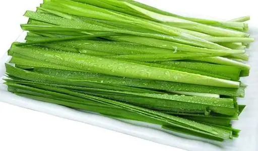 男人吃韭菜有什么功效 男人吃韭菜的功效与作用