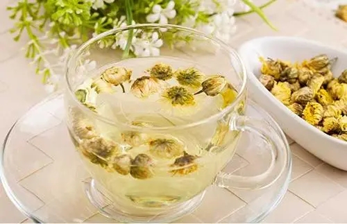 菊花茶的功效与作用及禁忌 菊花茶的功效与作用及副作用
