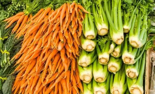 高血糖吃什么蔬菜好?20种蔬菜最降糖