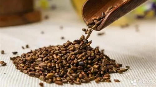 决明子的作用与功效与作用 决明子的功效与作用泡水喝的功效