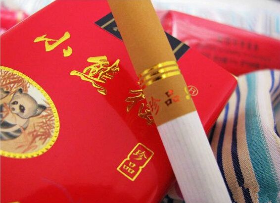 小熊猫软珍品实物图