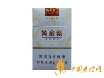 黄金叶(天韵普通版)