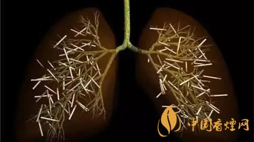 烟龄长不要盲目戒烟 二十年烟龄戒烟的后果