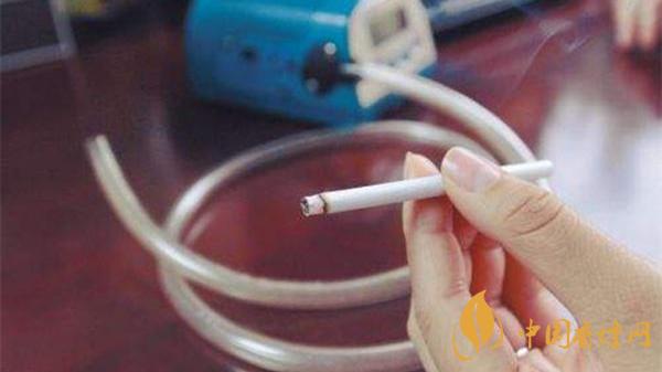 一天抽多少根烟合适 一天抽多少烟不伤身体