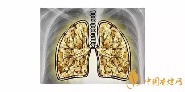 尼古丁怎么对人产生的影响 尼古丁的危害