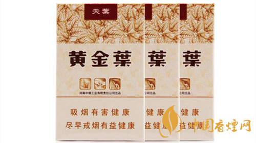 2020黄金叶天叶怎么样?黄金叶大小天叶有什么不同