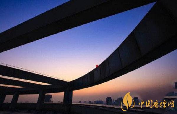 iphone12拍照技巧最新讲解-iphone12拍照功能详情介绍2021