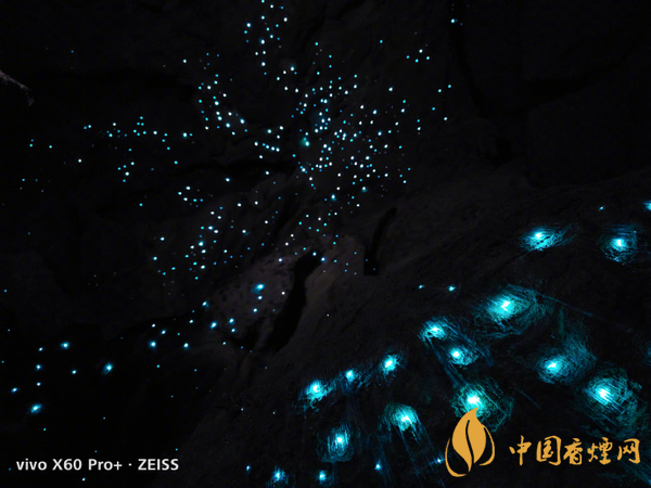 vivox60pro+夜拍能力怎么样 vivox60pro+拍摄功能好吗