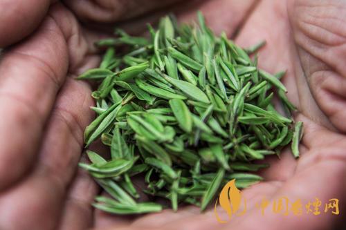 秦巴雾毫的产地在哪  秦巴雾毫多少钱一斤