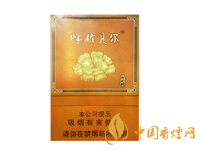 呼伦贝尔（天之韵）