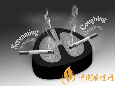 香烟是如何伤害我们身体的?