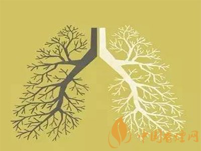 一毫克焦油量的香烟危害有多大?