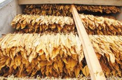 烟叶税是什么烟叶税计算公式是什么