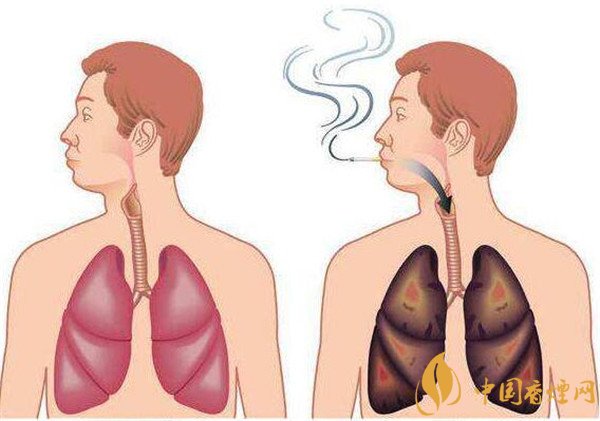 戒烟的好处和坏处有哪些?解析戒烟的好处和坏处