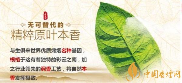 玉溪新品香烟怎么样  新款玉溪烟2017照片