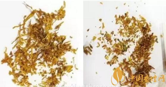 冬虫夏草(和润)真假鉴别,春节防止被骗