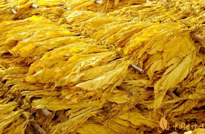 朱砂烟到底是什么烟,云烟朱砂烟有哪几款