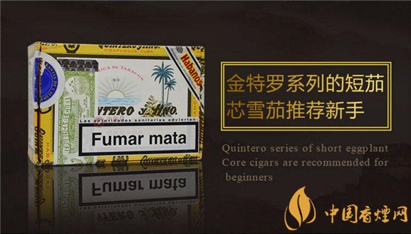 古巴雪茄烟金特罗比华士口感好吗 品味金特罗比华士雪茄