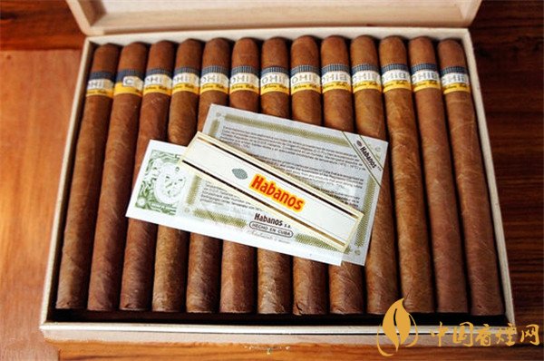 古巴雪茄烟高希霸导师雪茄好抽吗 品味顶级高希霸雪茄