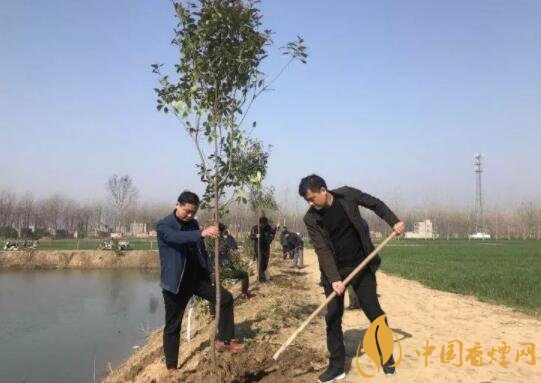 烟草行业的贡献可不只税利