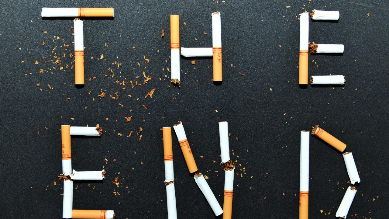 利群红利香烟价格及图片 利群红利香烟价格表图2025