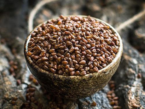 女性喝苦荞茶的坏处 女性喝苦荞茶的坏处有哪些