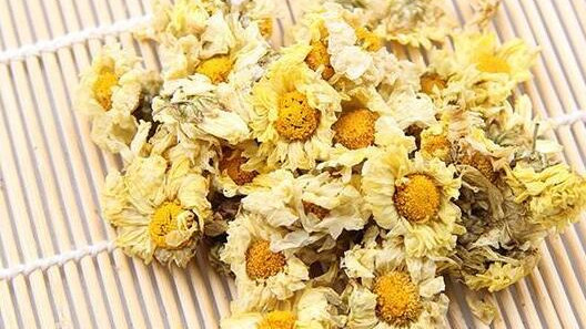 杭白菊的功效与作用 杭白菊的禁忌有哪些