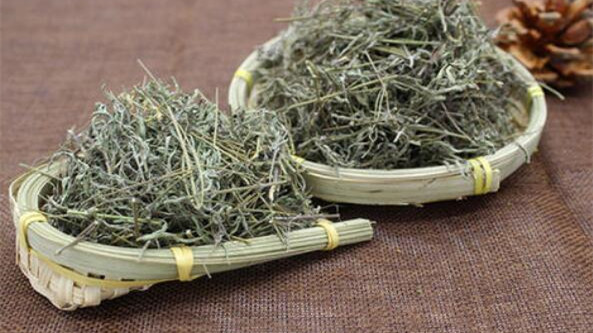 香薷泡水喝有什么功效 香薷的功效与作用及药用价值