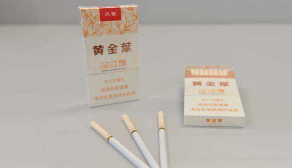 黄金叶小天叶价格图片2025最新价格