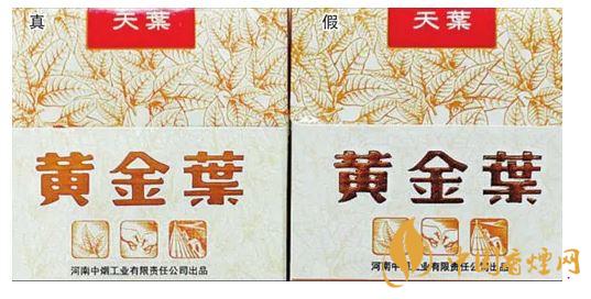 黄金叶天叶真假识别图片一览