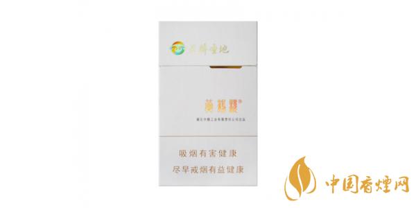 黄鹤楼天骄圣地价格表图片 黄鹤楼天骄圣地多少钱一包