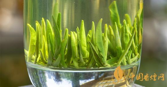 雀舌茶叶价格和图片一览 雀舌茶叶多少钱一包