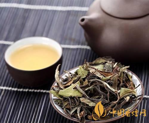 老白茶为什么那么受欢迎 老白茶到底有多好