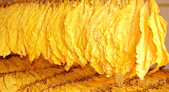 混合烟和烤烟有什么区别 混合烟和烤烟哪个危害更大