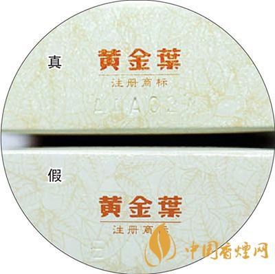 黄金叶天叶怎么区分 黄金叶天叶最新区分方法