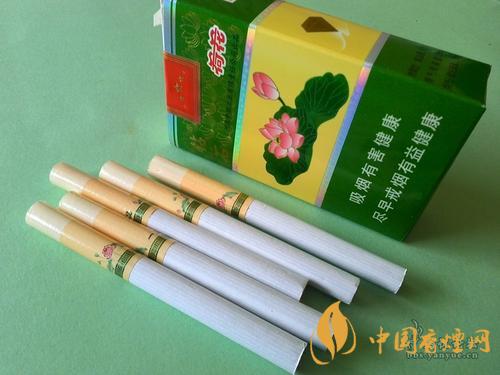 钻石一品荷花价格2025 钻石一品荷花怎么样