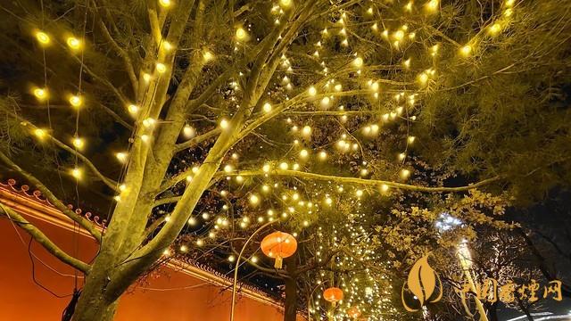 千元5g手机推荐 iqooz3测评