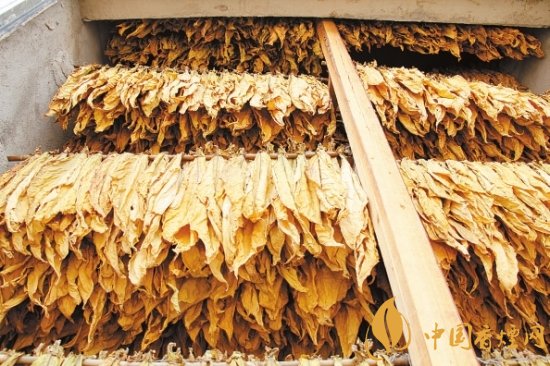 烟叶税是什么，烟叶税如何计算