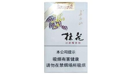 长白山(桂花)香烟价格表图 长白山桂花烟多少钱