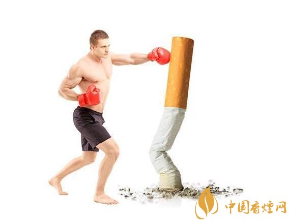 一天抽几根烟合适,一天一包烟患癌几率大